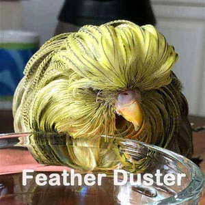 Emil der Feather Duster